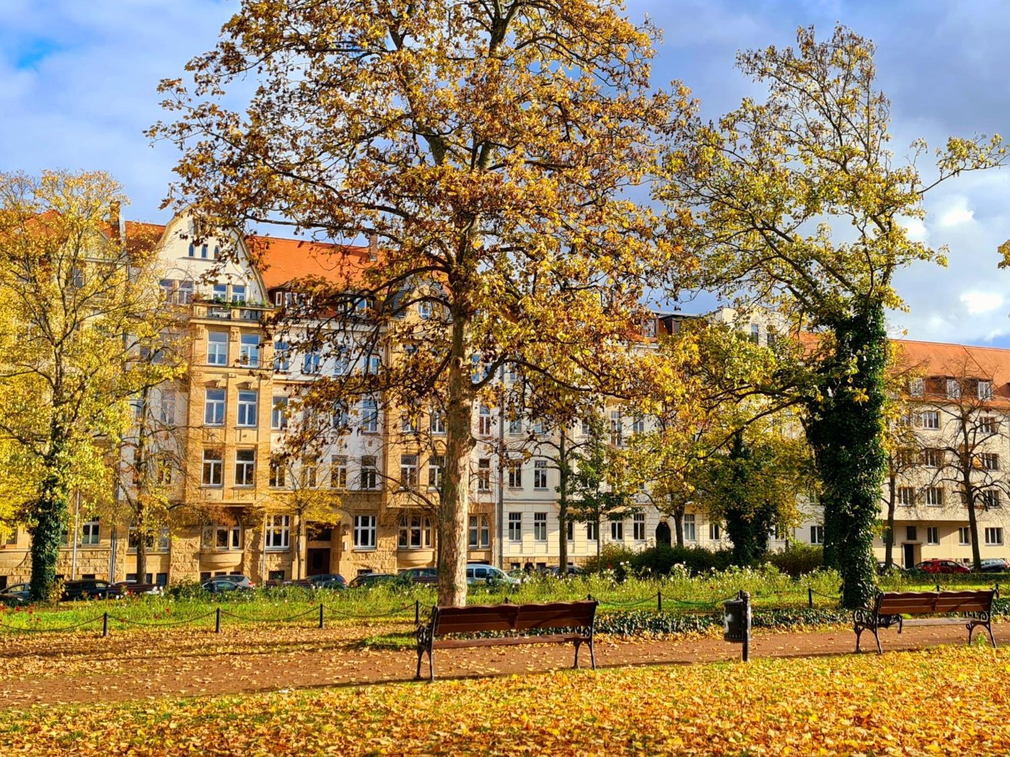 Apartament Kleinod Am Park - Zentrum-Suedost Lipsk Zewnętrze zdjęcie